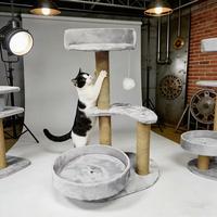 Grey cat climbing frame//