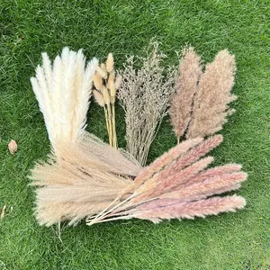 100 count Pampas Grass Boho  Decor 17 inch  Dried -Pampas Grass Contains Bunny Tails White Pampas Brown Pampas.Boho Decor for  Wedding Boho Wall Bathroom Office Kitchen...