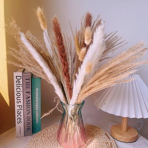 100 Pieces Of Bohemian Reed Grass, Naturally Dried Reed Grass, Wedding Decoration, Home Decoration, Bohemian Party Decoration, Table Decoration, Brown And White Color