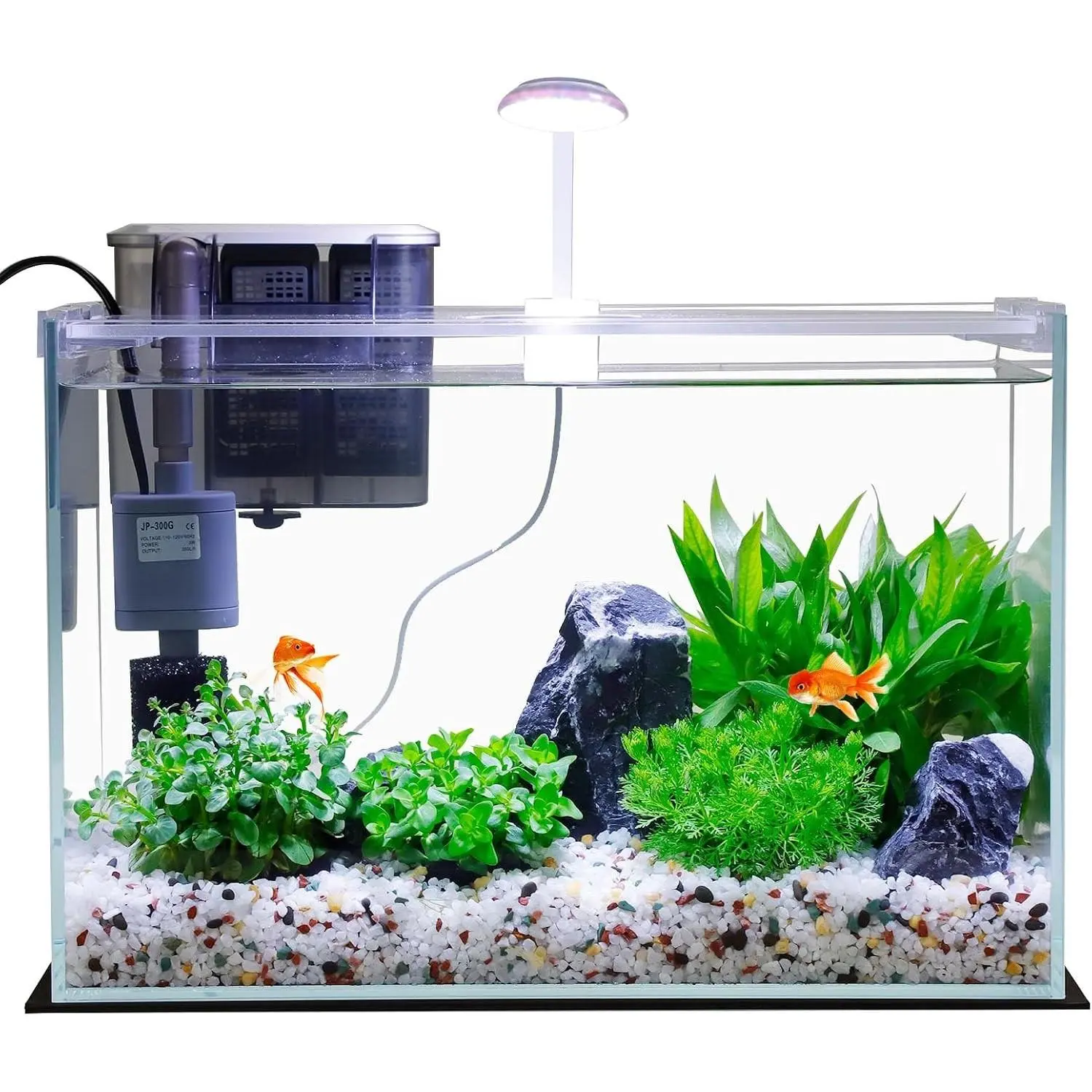 3 Gallon Glass Small Fish Tank, Betta Fish Tank Starter Kit with Filter, Lights,Lid.