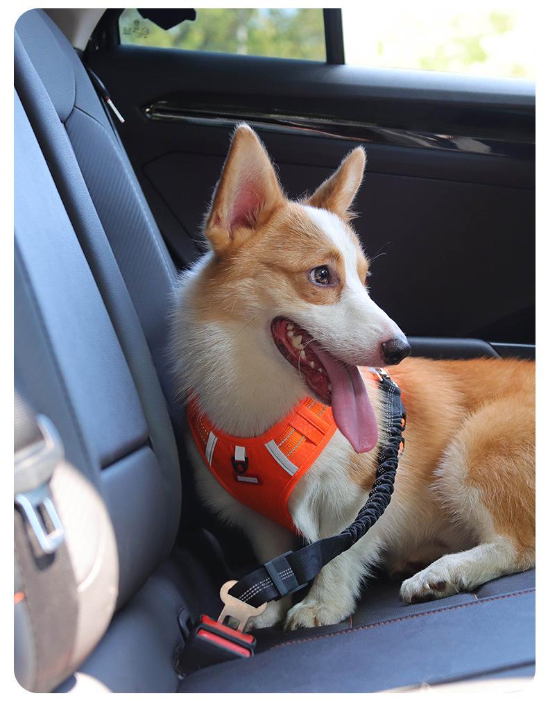 Dog Car Safety Seatbelt, Retractable Bungee Dog Leash, Shock Absorbing Reflective Safety Leash with Steel Buckle, Adjustable Length 20.87-29.53in for Pet Travel, Heavy Duty Vehicle Restraint for Small Medium Large Dogs, Anti-Pull Comfort Walking Leash