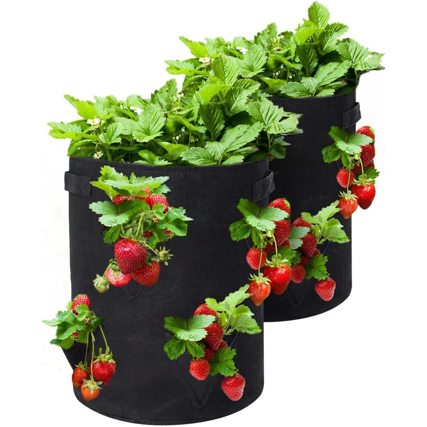 10 Gallon Strawberry Grow Bags 2-Pack, Thickened Nonwoven Grow Pots with 8 Pockets & Reinforced Handles for Strawberries, Tomatoes, Peppers, Herbs, Flowers