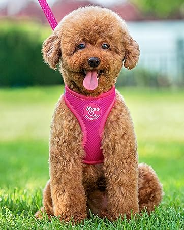 Pawblefy - Personalized Airtag Cat Collar - Cat Collar with Airtag Holder - GPS Collar for Cats - Customizable cat GPS tracker collar (Standard) Pawblefy - Personalized Airtag Cat Collar - Cat Collar with Airtag Holder - GPS Collar for Cats - Customizable cat GPS tracker collar (Standard)