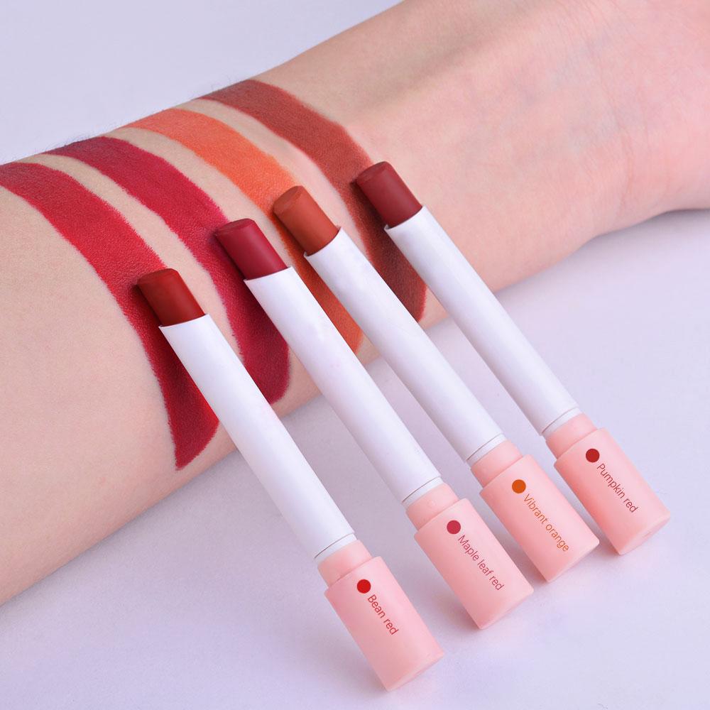 Long Lasting Matte Lipstick Set, Lipstick Beauty, 4 Counts/set Lipsticks Natural Tube Lipstick for Lip Makeup, Portable Girls and Women Makeup Accessories