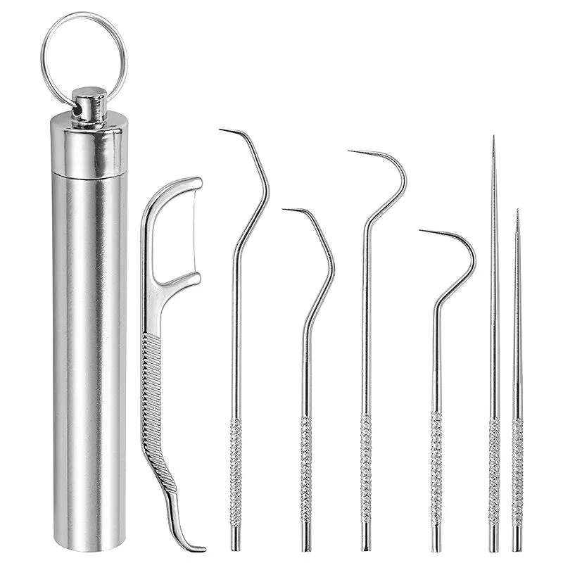 Portable Teeth Cleaning Kit, Stainless Steel Toothpick & Floss Set, Reusable Teeth Cleaning Kit, Portable Pocket Size Teeth Cleaning Tool for Home & Travel