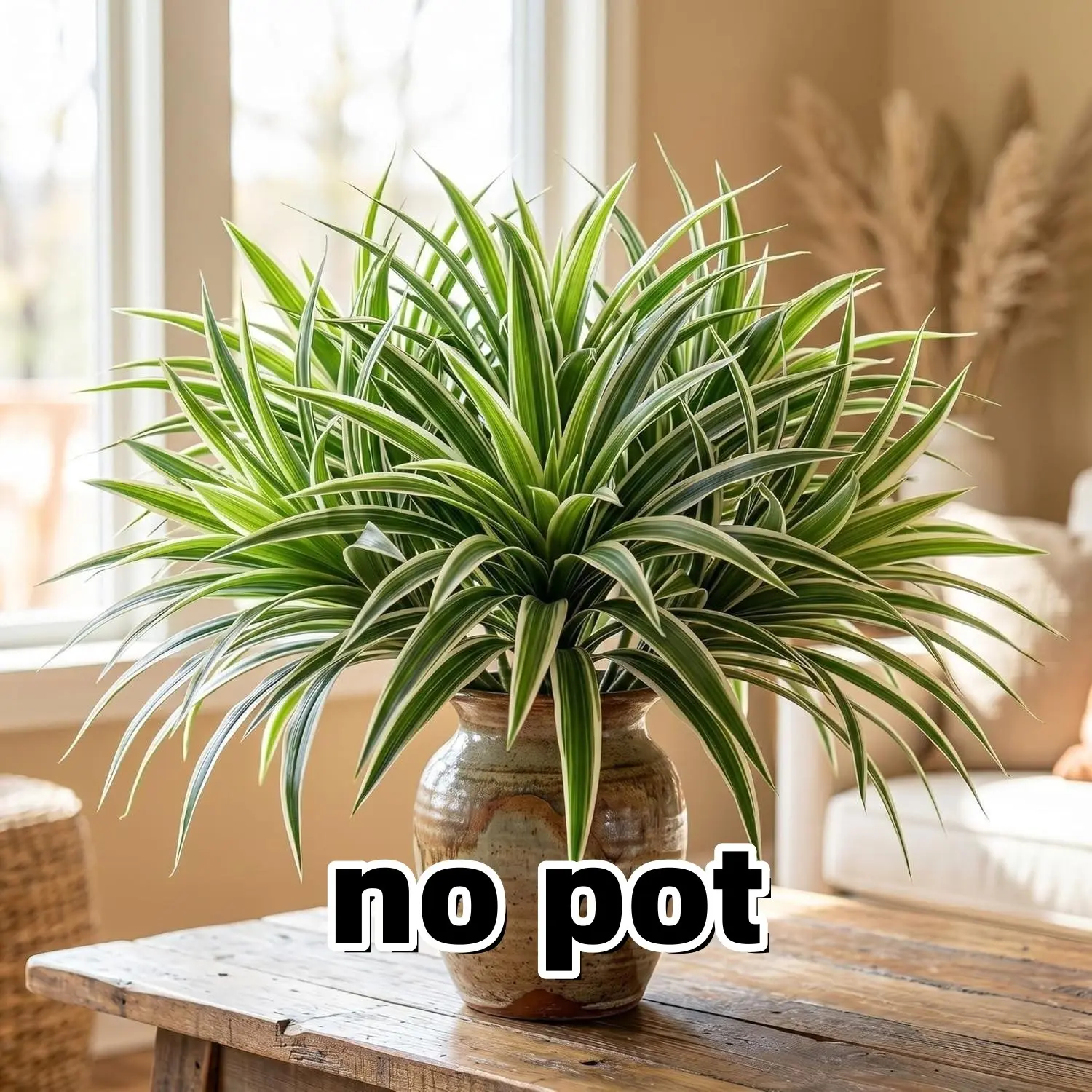 12 Pcs Pack Artificial Spider Plant, Fake Greenery Plant, Faux Chlorophytum Comosum, Decorative Silk Greenery with Edges, Indoor Outdoor Decor, Hanging
