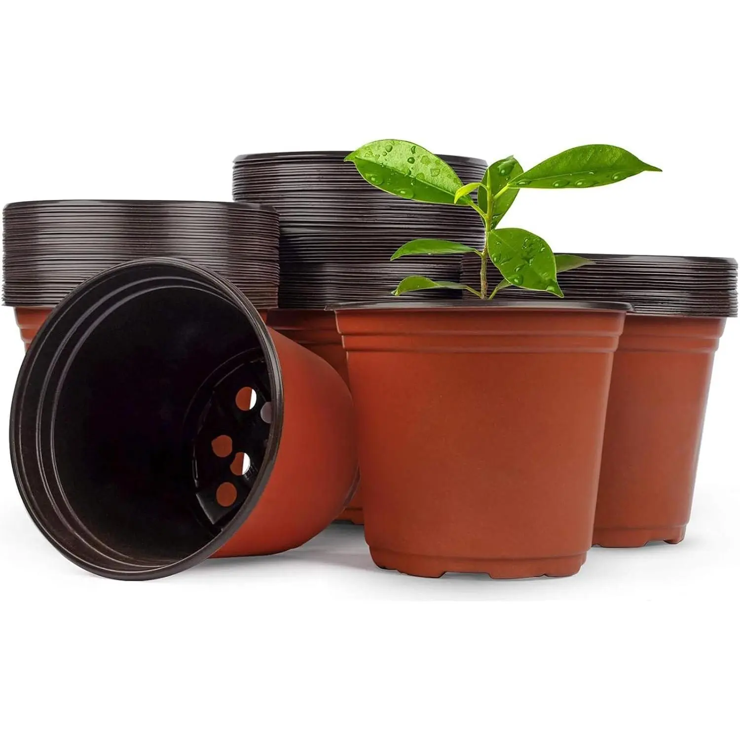 100 PCS Plastic Nursery Pots 6 Inch Seed Starting Pots for Succulents, Seedlings, Cuttings, Transplanting