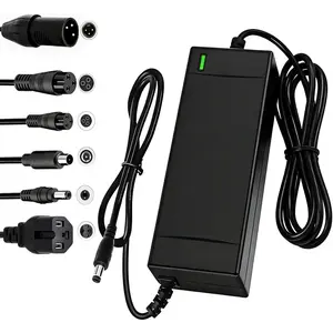 SGS Certified 54.6V 2A Fast Electric Bicycle Charger for 48V Ebike Battery - Fast Charging, Overcharge Protection, Compatible with Ecotric City/Beach, Lectric XP 2.0/3.0, Evercross H5/H7