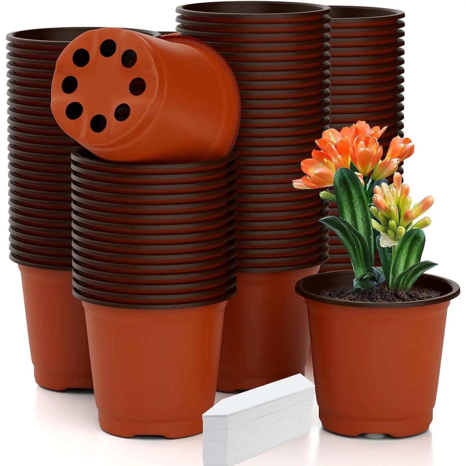 Pots 100 count 4 Inch  Pots with 100 Labels, Planting Pot for  Indoor Outdoor, Plastic Flower Pot for Seedlings Transplanting Small  Growing