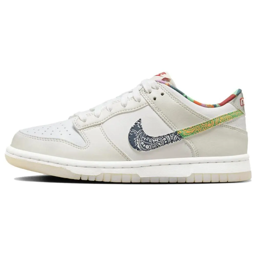 Nike Dunk Low GS 'Multi-Color Paisley' FN8913-141