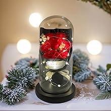 Gift for Her Forever Flower Bouquet for Delivery Prime Preserved Pink Roses Glass Dome LED Light 100 Languages I LOVE YOU Necklace Mothers Day Birthday Romantic Valentines Gift for Wife Women Mom