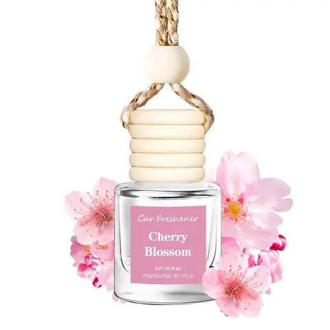 Car Air Freshener, 1 Count Hanging Car Diffuser, Car Interior Diffusers, Car Fragrance, Car Scent Diffuser, Car Aroma Diffuser, Car Interior Accessories, Car Accessory for Car, Home, Office, Car Decoration