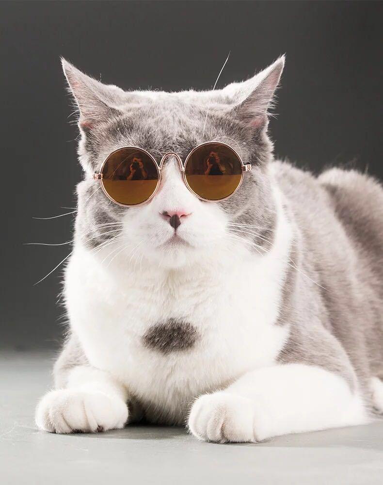 Dog Cat Pet Sunglasses Creative Trendy Sunwear Cute Accessories Mini Eyewear for Small Animals Adjustable Fit Summer Outdoor Play