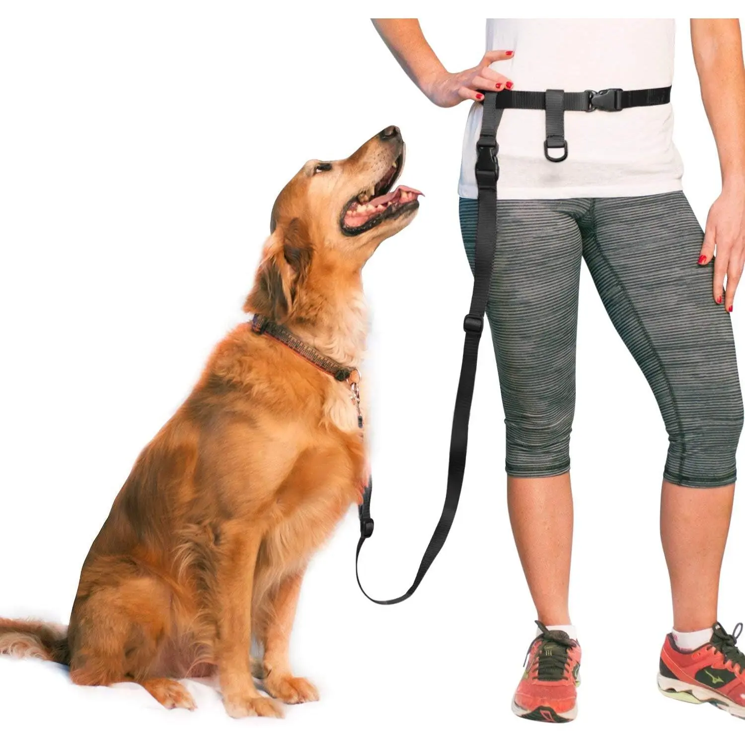 The Buddy System Adjustable Hands Free Dog Leash, Hand-Free Leash for Running, Jogging, Walking, Hiking and Training Service Dogs, Versatile All Dog Sizes - Made in USA - Regular, Black