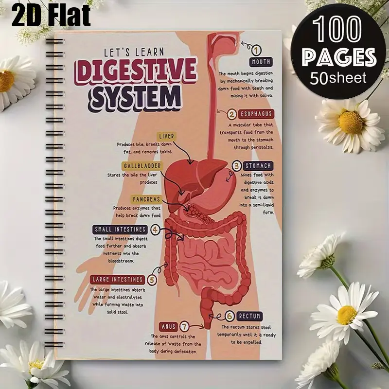 1pc Digestive System Learning Spiral Notebook, 5.7x8.26 Inch, Educational Science Notes, School Supplies for Students, Biology Class Study Tool, Back to School Gift, Kids Science Learning Journal, Medical Education Notebook, Teacher Supplies, Scienc