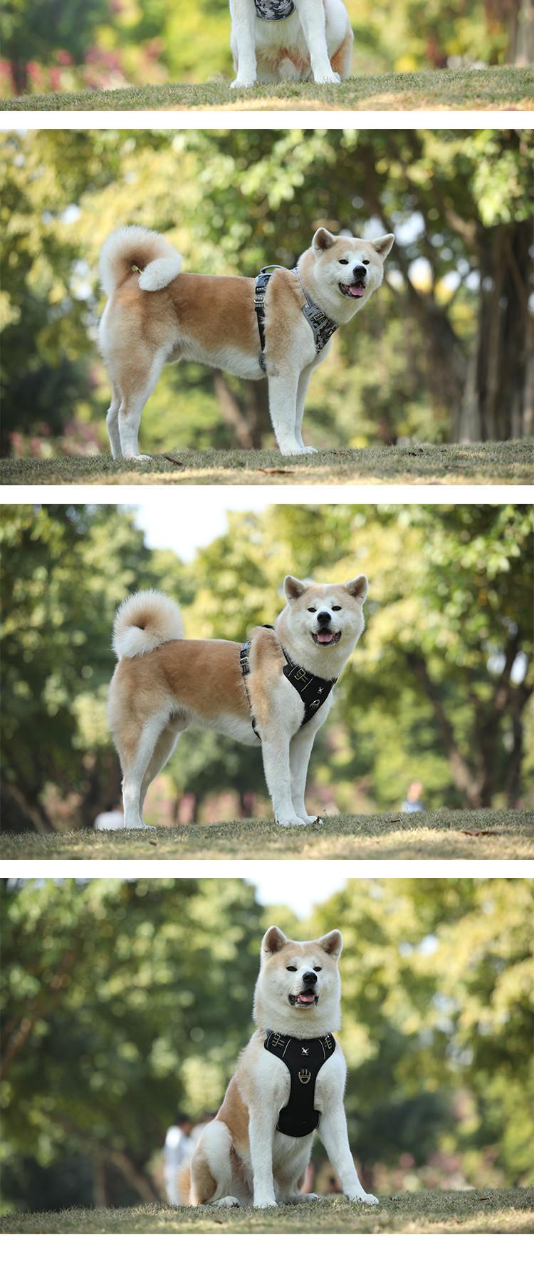 Pet Sports Chest Strap Vertical Handle Dog Traction Vest Explosion-Proof Pet Dog Hand Holding Rope Medium to Large Dogs Golden Retriever Dog Leash Walking Dog Adjustable Chest Strap