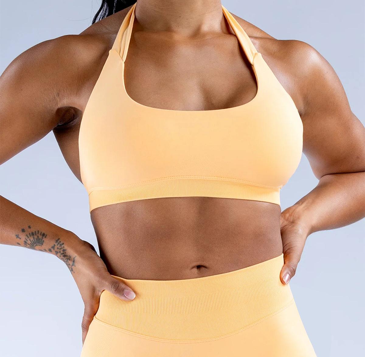 Seamless High Stretch Halter Sports Bra, Ultra Soft Matte Nylon Backless Criss Cross Workout Bra for Yoga Fitness