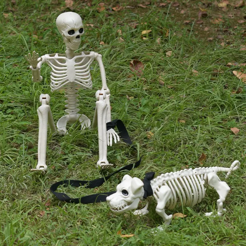 Halloween Animal Skeleton Dog Skeleton Set, Outdoor Garden Decoration, Halloween Party Activity, Playground Props