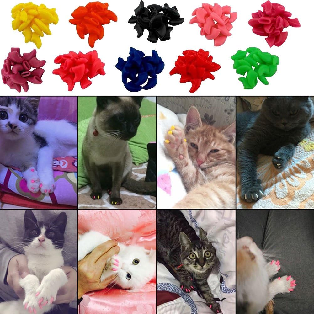 Cat Nail Caps, 100pcs Medium Size 5 Colors with Glue and Applicators, Safe for Cat Claw Care, Protect Homes and Furniture, Prevent Scratch Disease, Long-lasting, Skin-friendly Cat Nail Caps, 100pcs Medium Size 5 Colors with Glue and Applicators, Safe for Cat Claw Care, Protect Homes and Furniture, Prevent Scratch Disease, Long-lasting, Skin-friendly