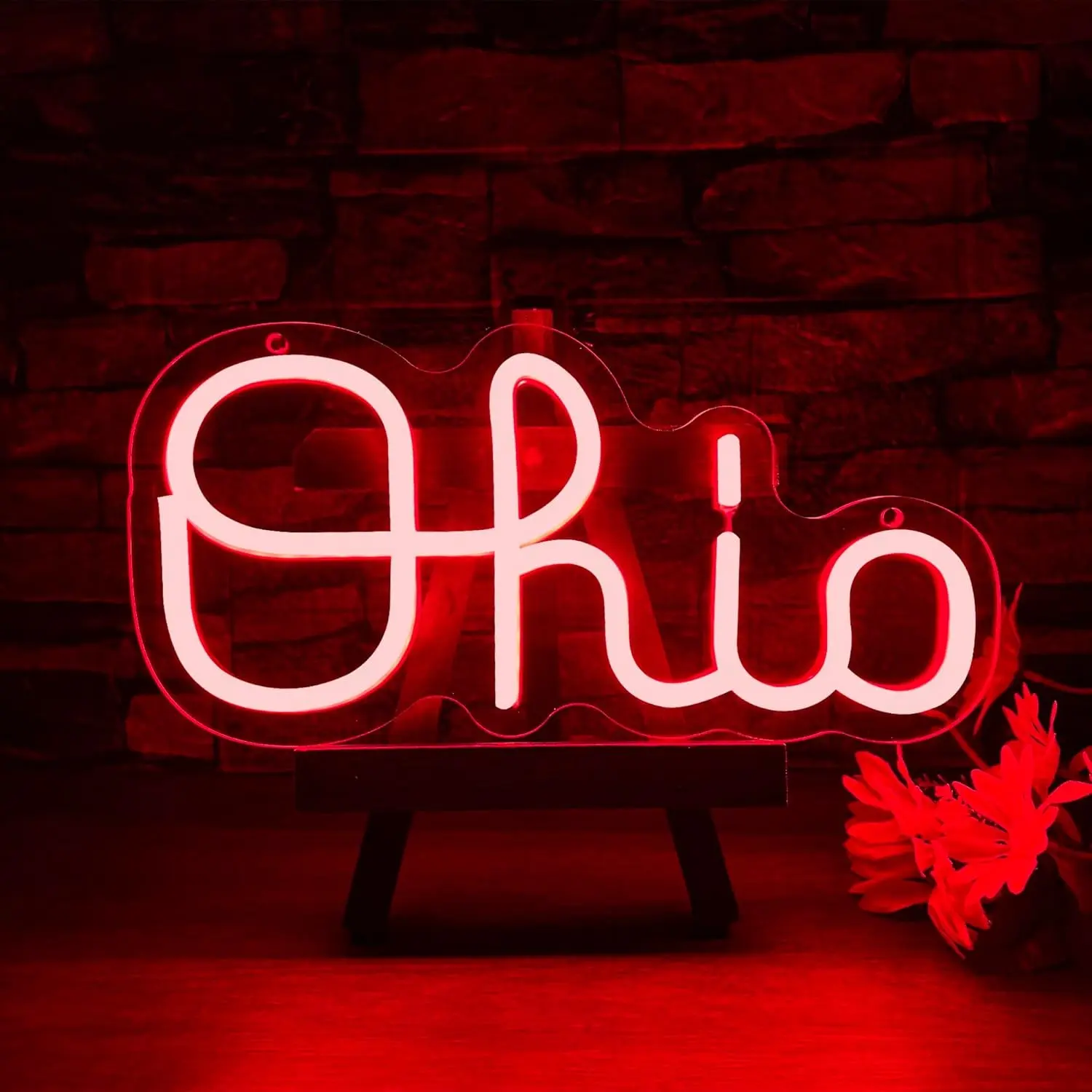 Ohio Handwritten Script LED Neon Light, American State Name Retro USB Atmosphere Lamp, Ohio Fan Bedroom Bar Wall Decor Light, Ambient Led Lighting