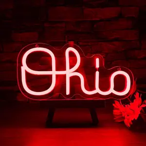 Ohio Handwritten Script LED Neon Light, American State Name Retro USB Atmosphere Lamp, Ohio Fan Bedroom Bar Wall Decor Light