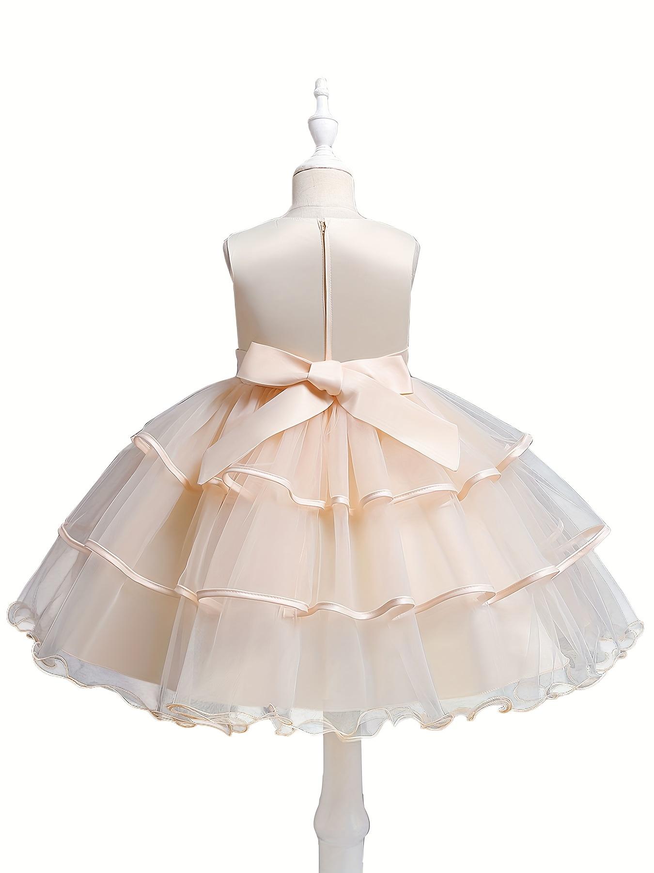 Formal Occasions Girls Mesh Embroidered Puffy A-line Princess Dress Birthday Evening Party Wedding Flower Girls Party Dress Gifts  Gifts