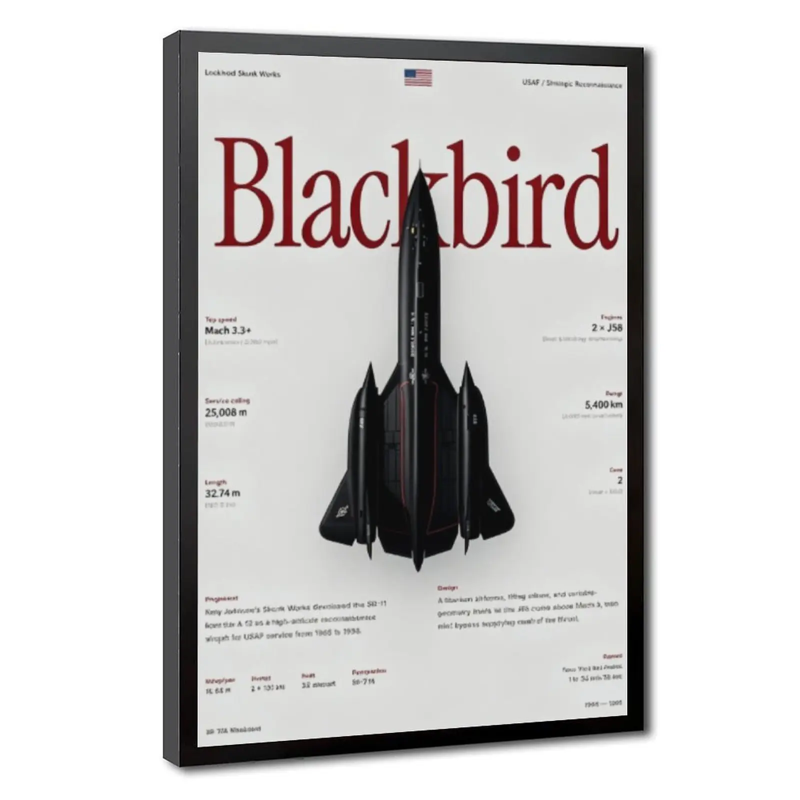 Blackbird SR71 Poster Military Aircraft Print Aviation Data Print Vintage Plane Wall Art Aerospace Infographic Photography Man Cave Office Aviation Lover Room Wall Decor