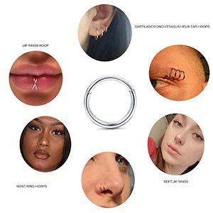 LOYALLOOK 8counts G23 Titanium Hinged Clicker Segment Nose Rings Hoop Septum Nose Lip Ring Hoop for Women Men Helix Cartilage Daith Tragus Sleeper Earrings Body Piercing Improved 16G Jewelry