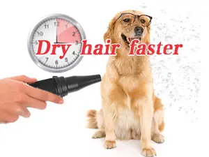Dog Dryer High Velocity Professional Dog/Pet Grooming Force Hair Dryer/Blower quick blow