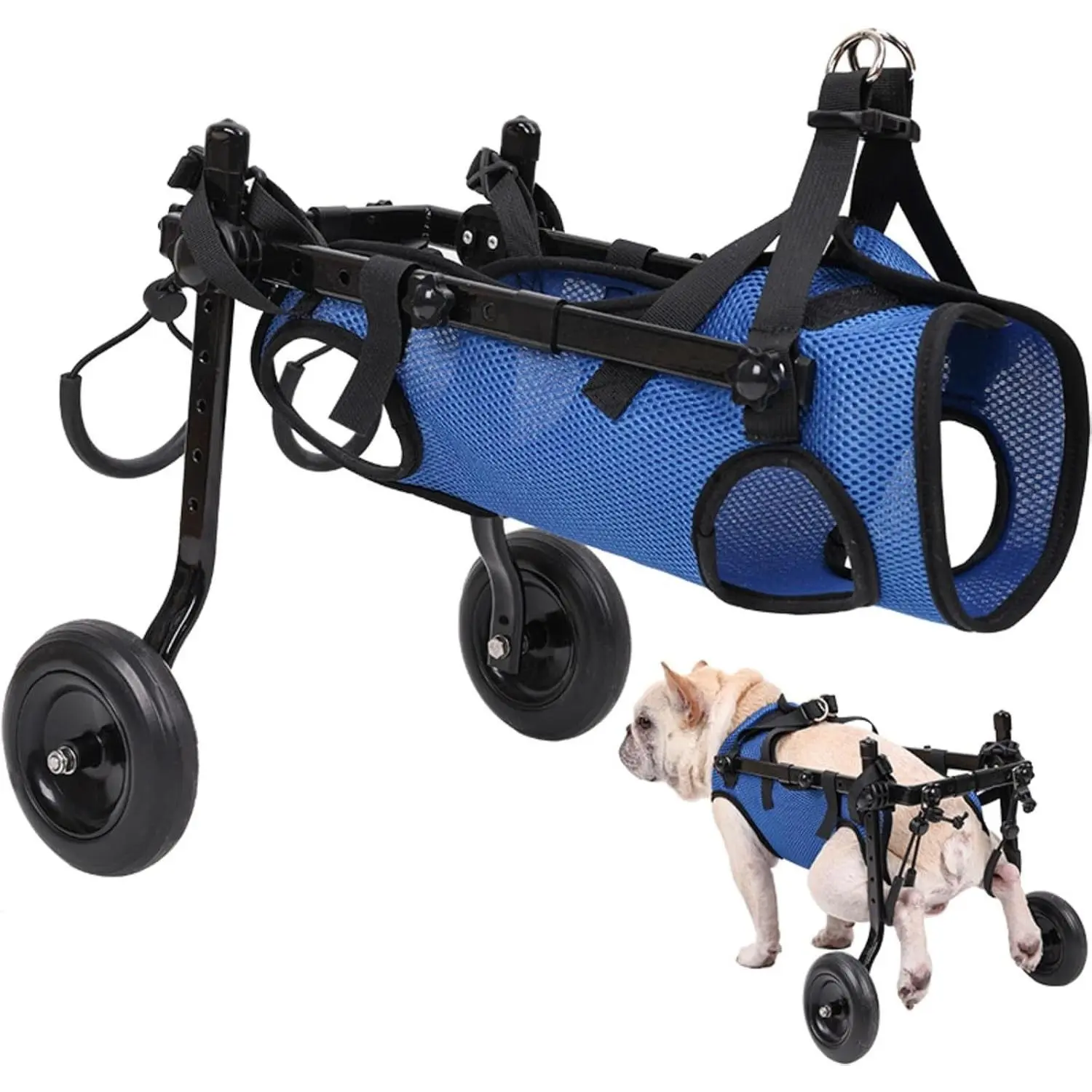 Adjustable Lightweight Dog Back Leg Wheelchair (Size M), Mobility Aid for Small Dogs - Supports Comfort & Independence During Daily Activities