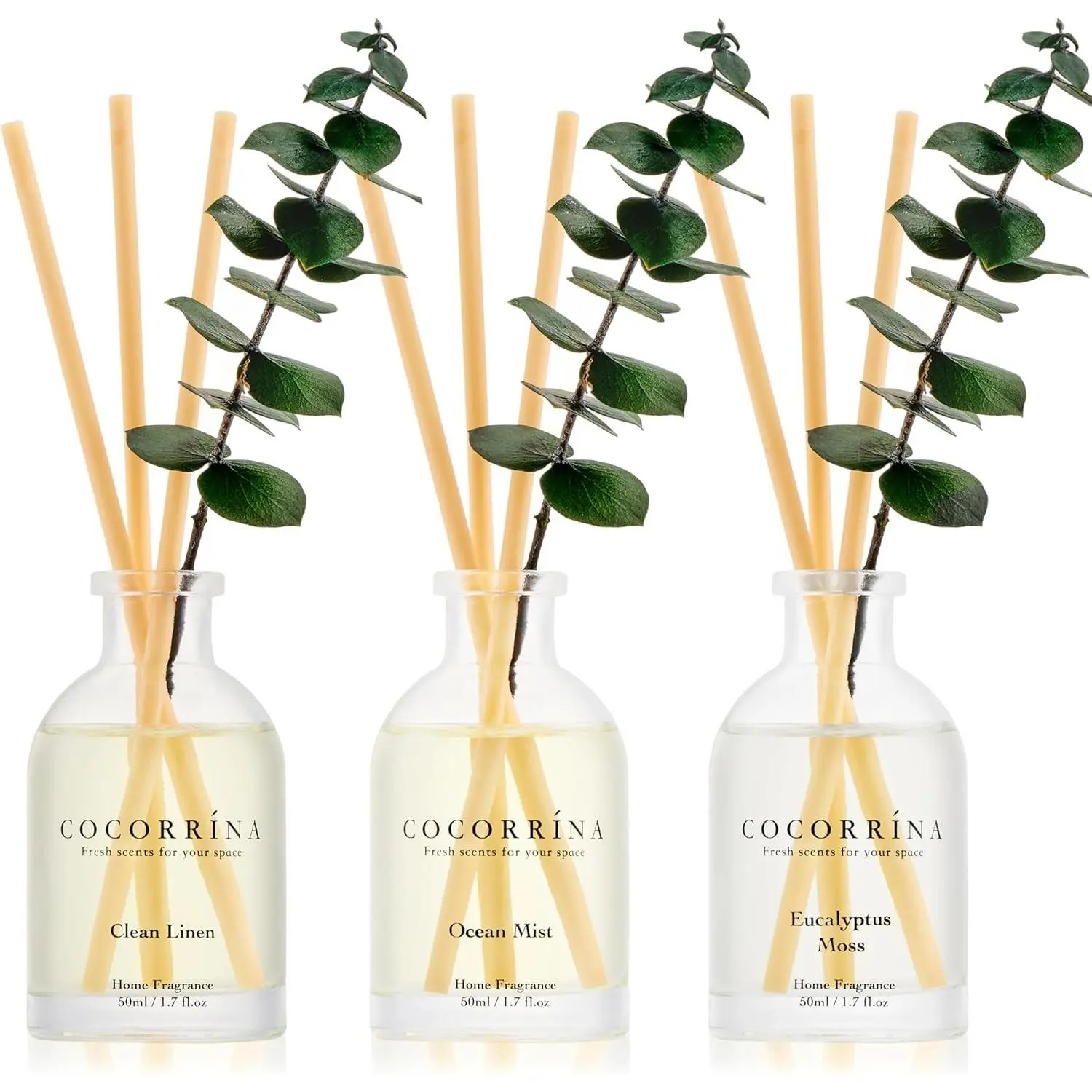 Eucalyptus Fragrance Glass Bottle Reed Diffuser 3-Pack - Eucalyptus & Moss, Clean Linen, Ocean Mist Scents, 1.7 fl oz Each, 5.1 oz Total, Gift Box Included, Home & Office Scented Oil Diffusers