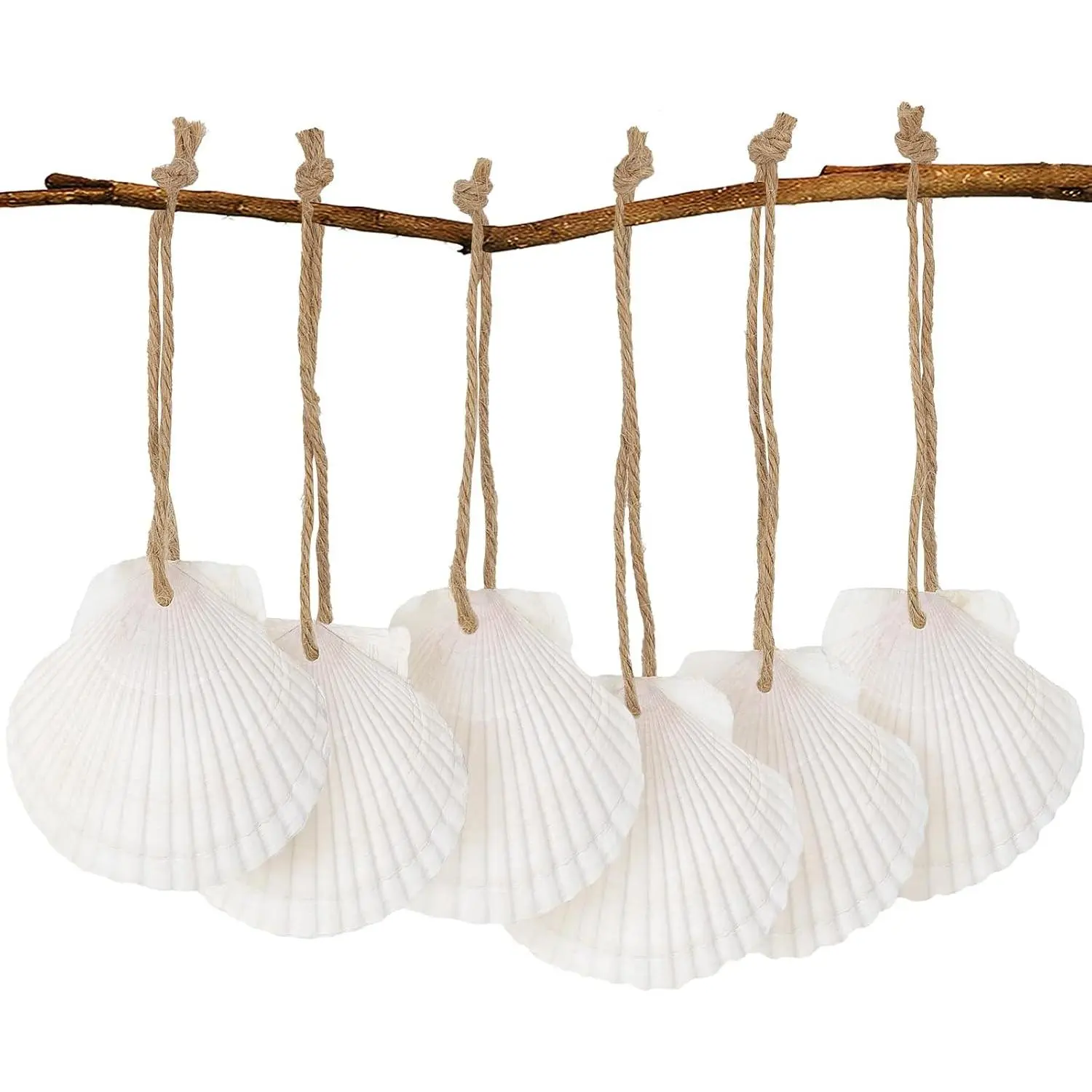 16PCS Natural Sea Shells 2.5"-3.5" Perforation Scallop Shells with Rope,for Christmas Tree Ornaments & DIY Hanging Home Deocration Craft Shells