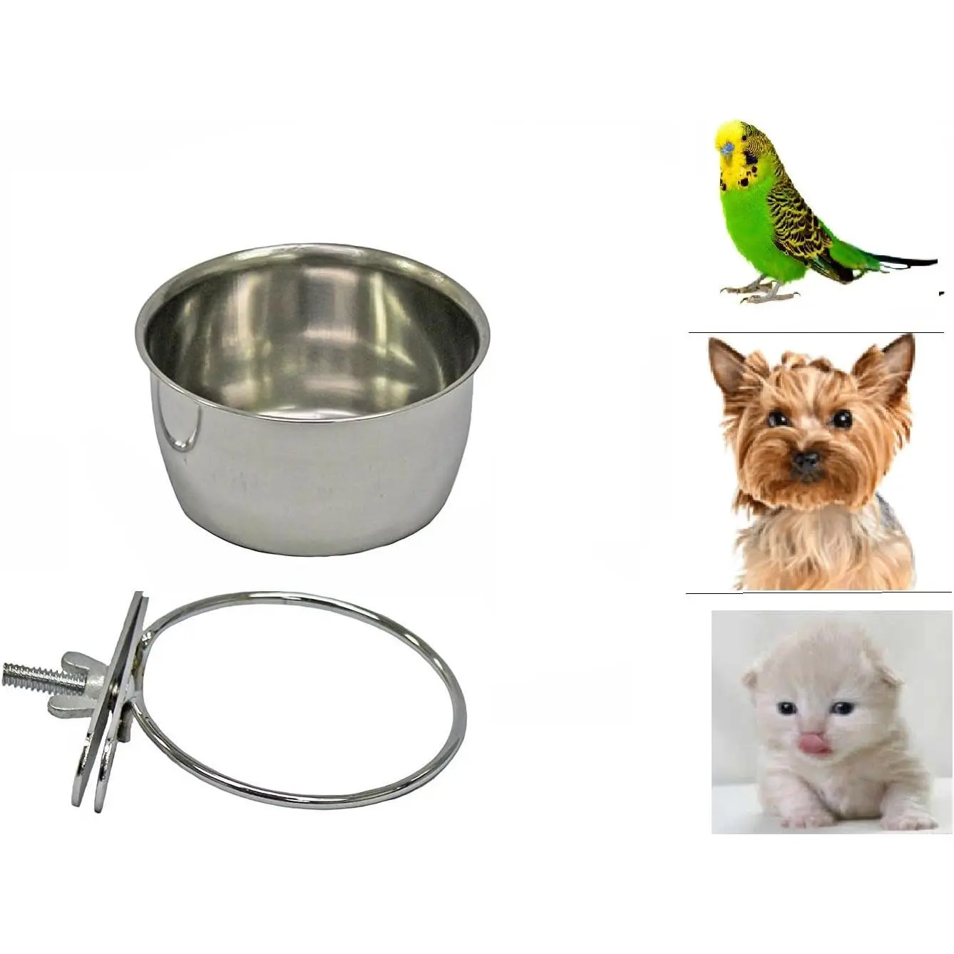 Stainless Steel Coop Cups with Clamp Holder - Detached   Cage Kennel  Bowl,Metal  Water Feeder for Small  Ferret  (Small)