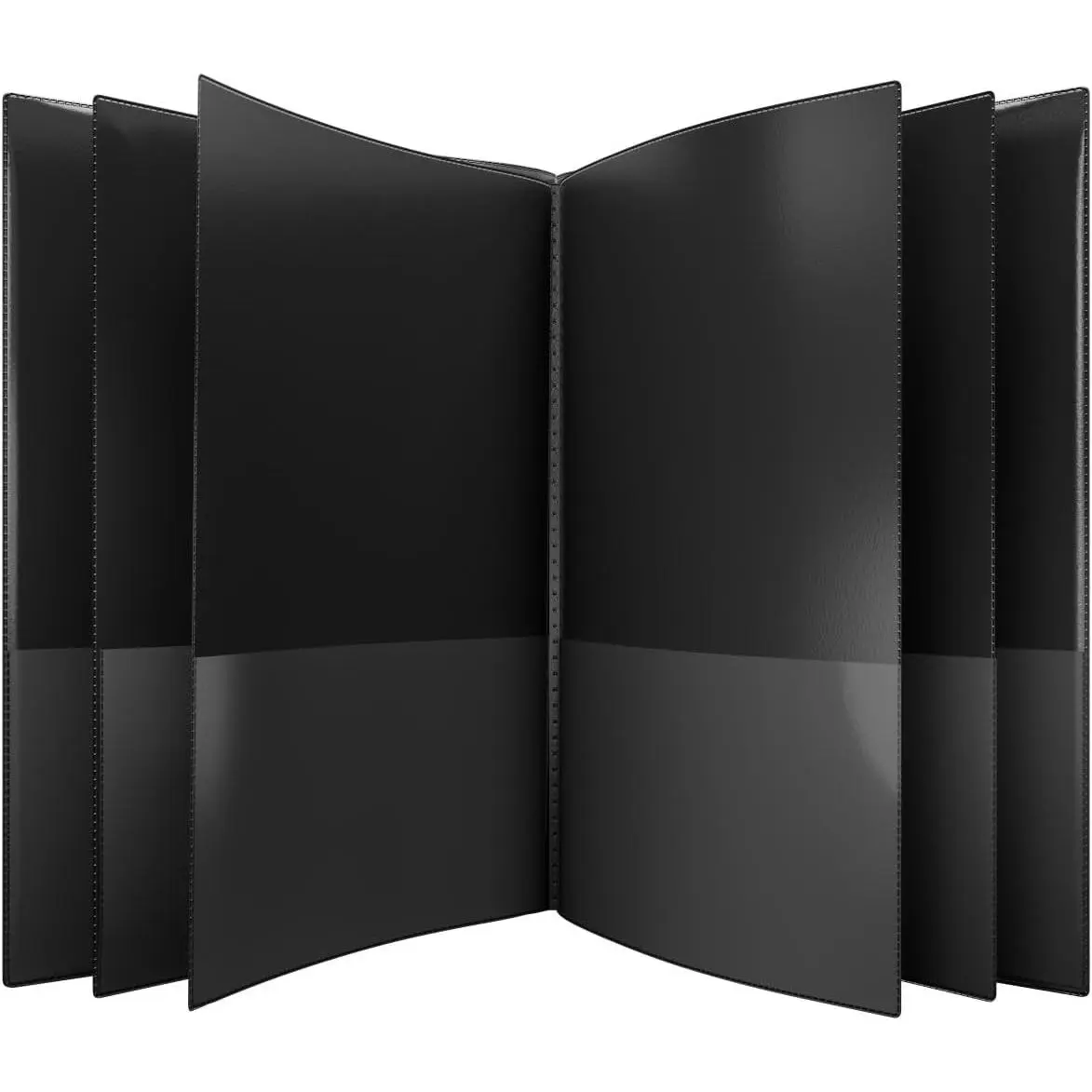 Multi Pocket Organizer, 10 or 14 Page Folder, Waterproof, Patented Tear-Resistant Flexible Plastic, Made in USA, Binder Substitute, 10-in-1 Black