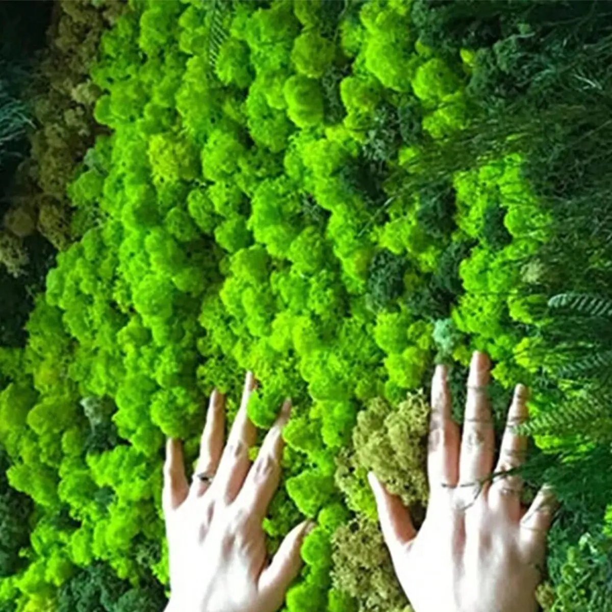 Realistic Artificial Moss, Artificial Simulation Plant, Dual-Purpose Decoration for Walls and Micro Landscapes, Perfect for Festive Gifts and Scene Decorations