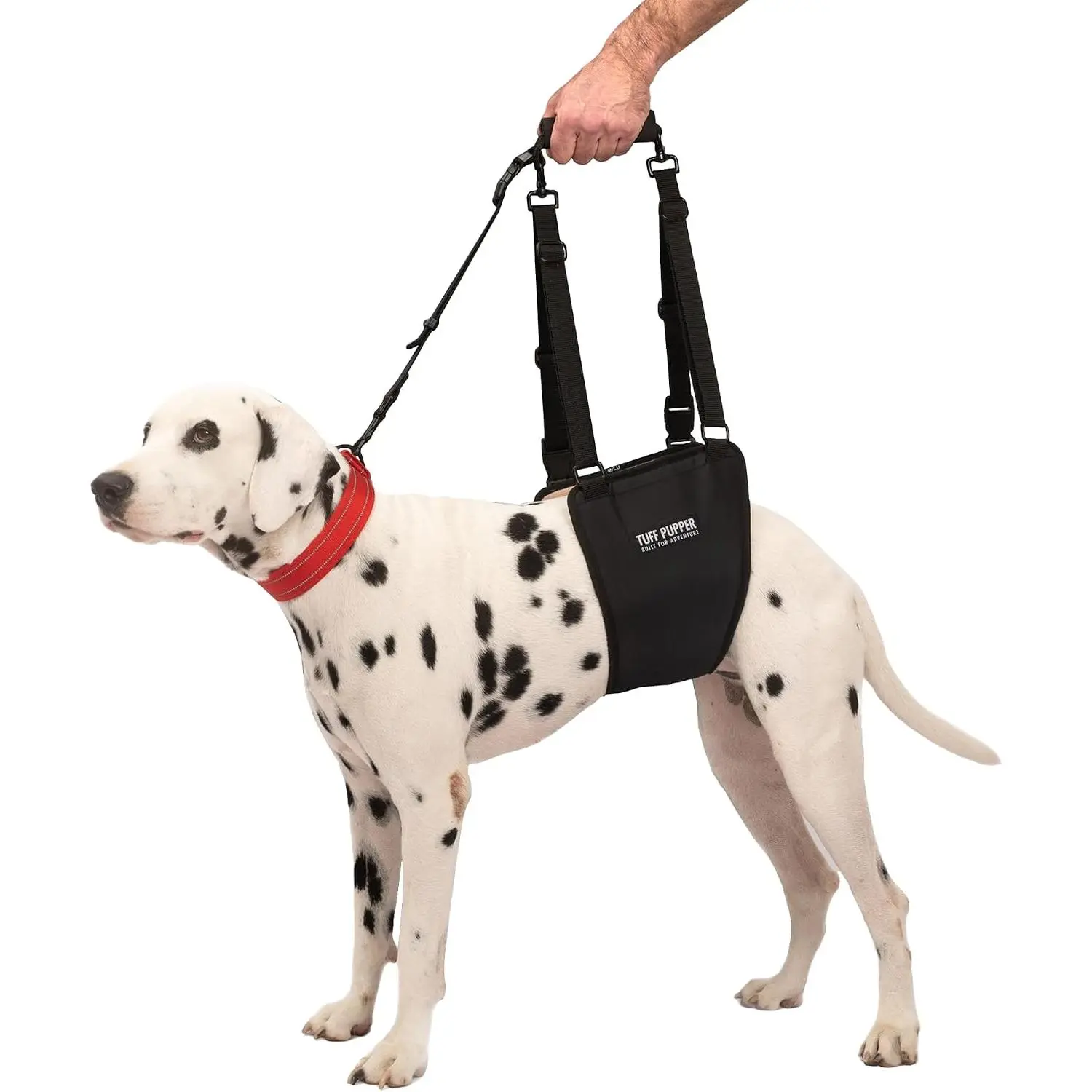 Tuff Pupper Dog Sling Hip Harness| Rear Lift Support for Senior & Injured Dogs| Adjustable Mobility Aid| Strong Padded Handle| Comfortable Design| Hip & Hind Leg Assistance (Medium/Large, Male)