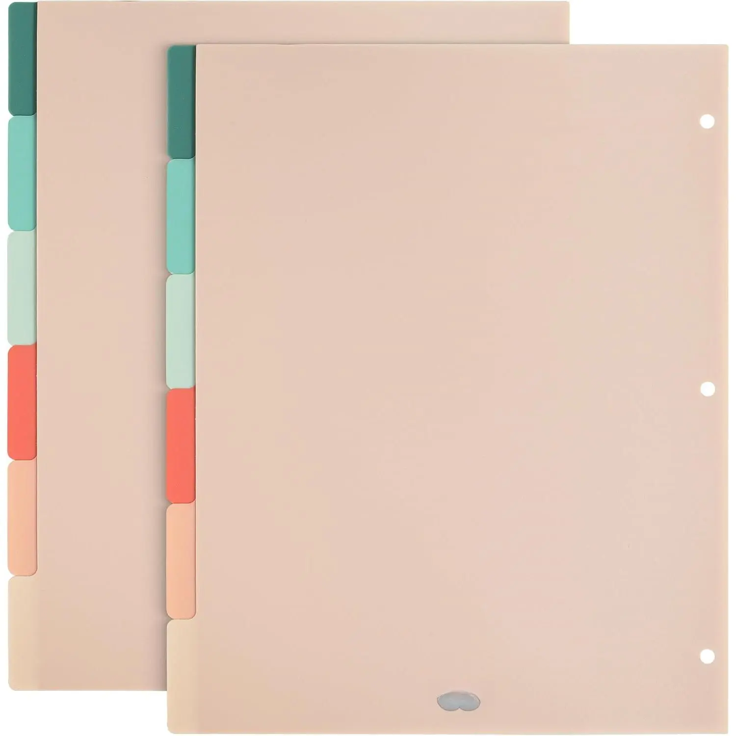 - 3 Ring Binder Dividers with Tabs, 2 Sets, 6 Pack/Set, Letter Size | 12 Pack, Spring Colors, Plastic 6 Tab Dividers for 3 Ring Binder with 12 count Labels