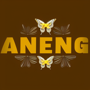 ANENG Pro Tools Official