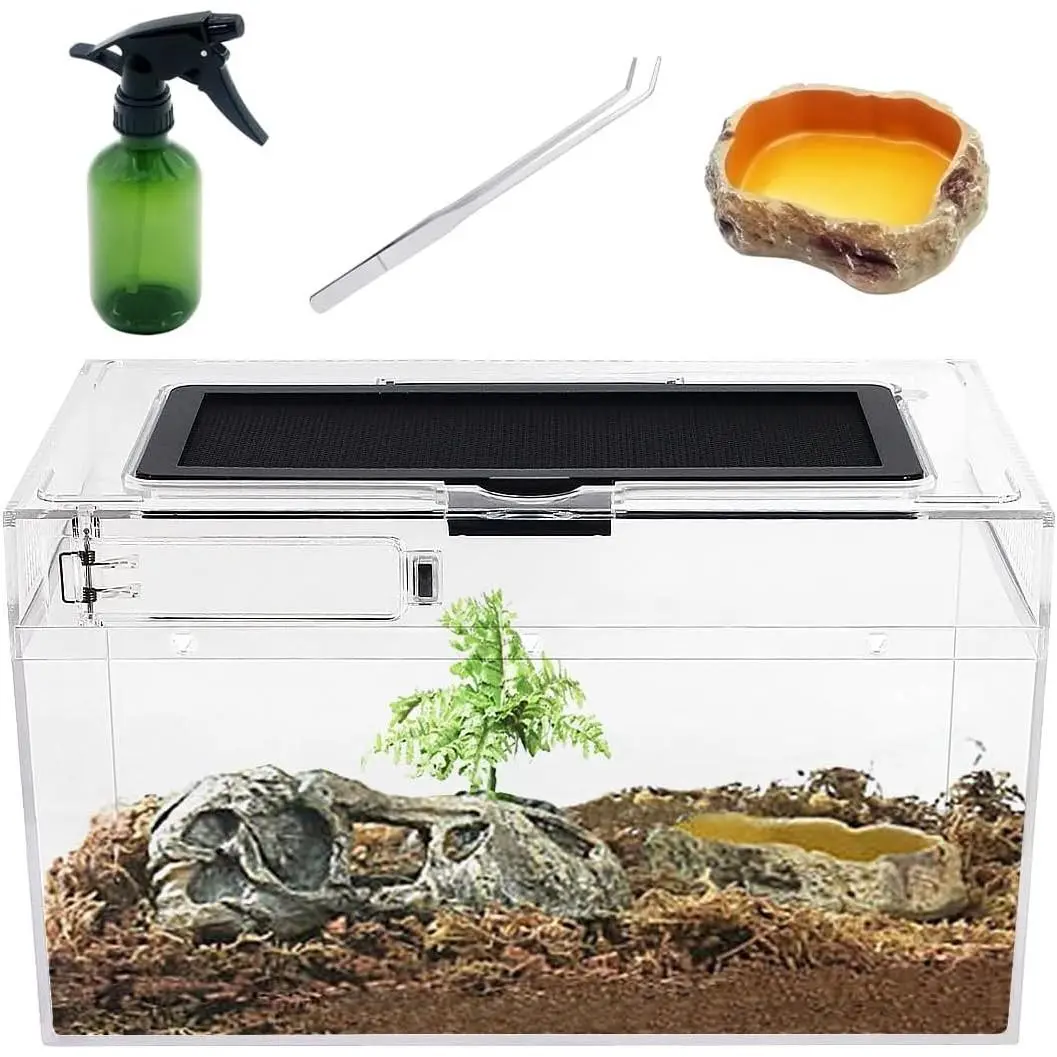 Mini Reptile Terrarium Tank, 11.8" x 7" x 6" Low Profile Full View Habitat for Reptiles, Amphibians, Insects, Fish, Tarantulas, Hermit Crabs, Jumping Spiders, Iguanas, Tortoises, Leopard Geckos, Frogs, Bearded DragonsGift