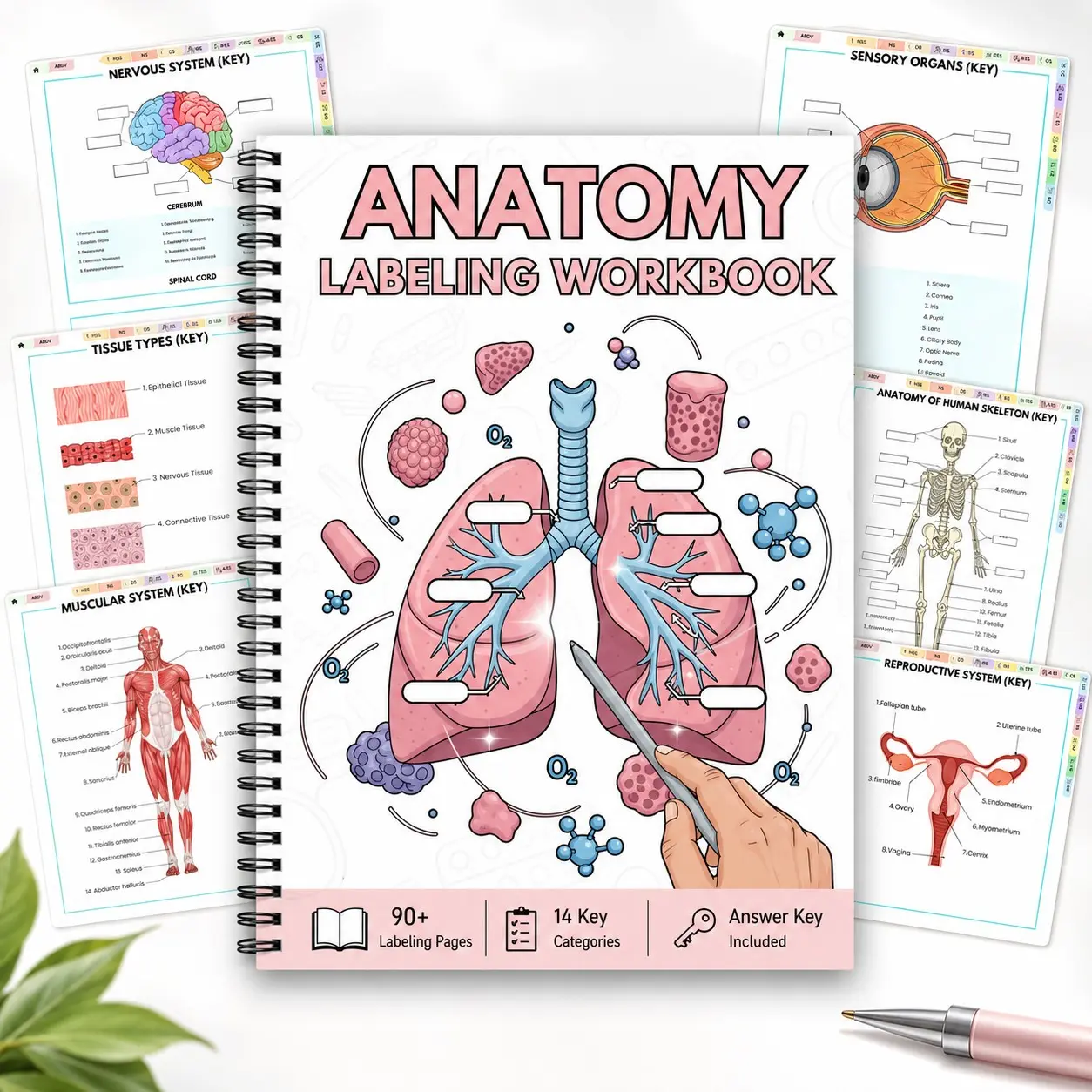 Anatomy Labeling Workbook A5 Spiral Notebook, 90+ Human Anatomy Practice Pages, 14 Major Body Systems, Answer Key Included