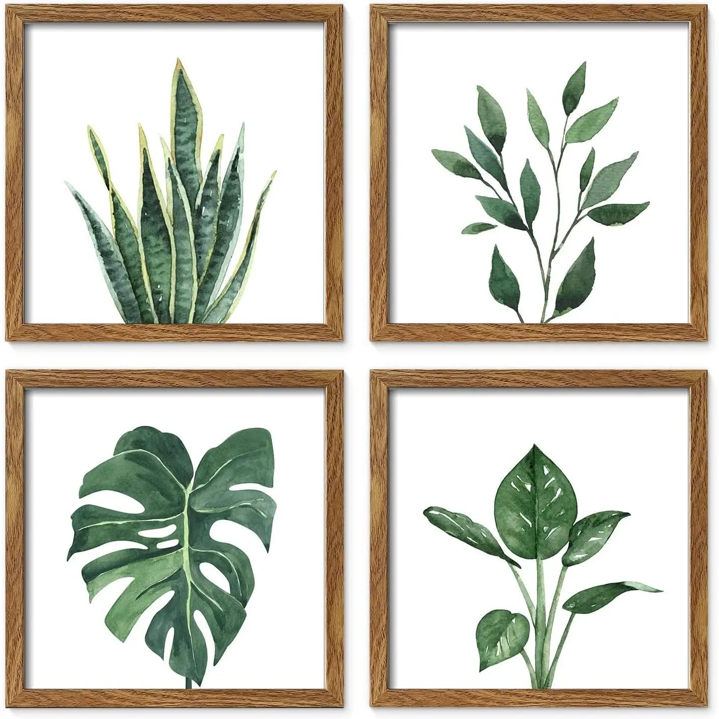 Minimalist Framed Botanical Photo Wall Art Decor - 10x10 in 4-Pack Lightweight Artistic Walnut Frame Set, Sage Green Plants Prints for Bathroom, Spa, Office Indoor Furniture Decoration