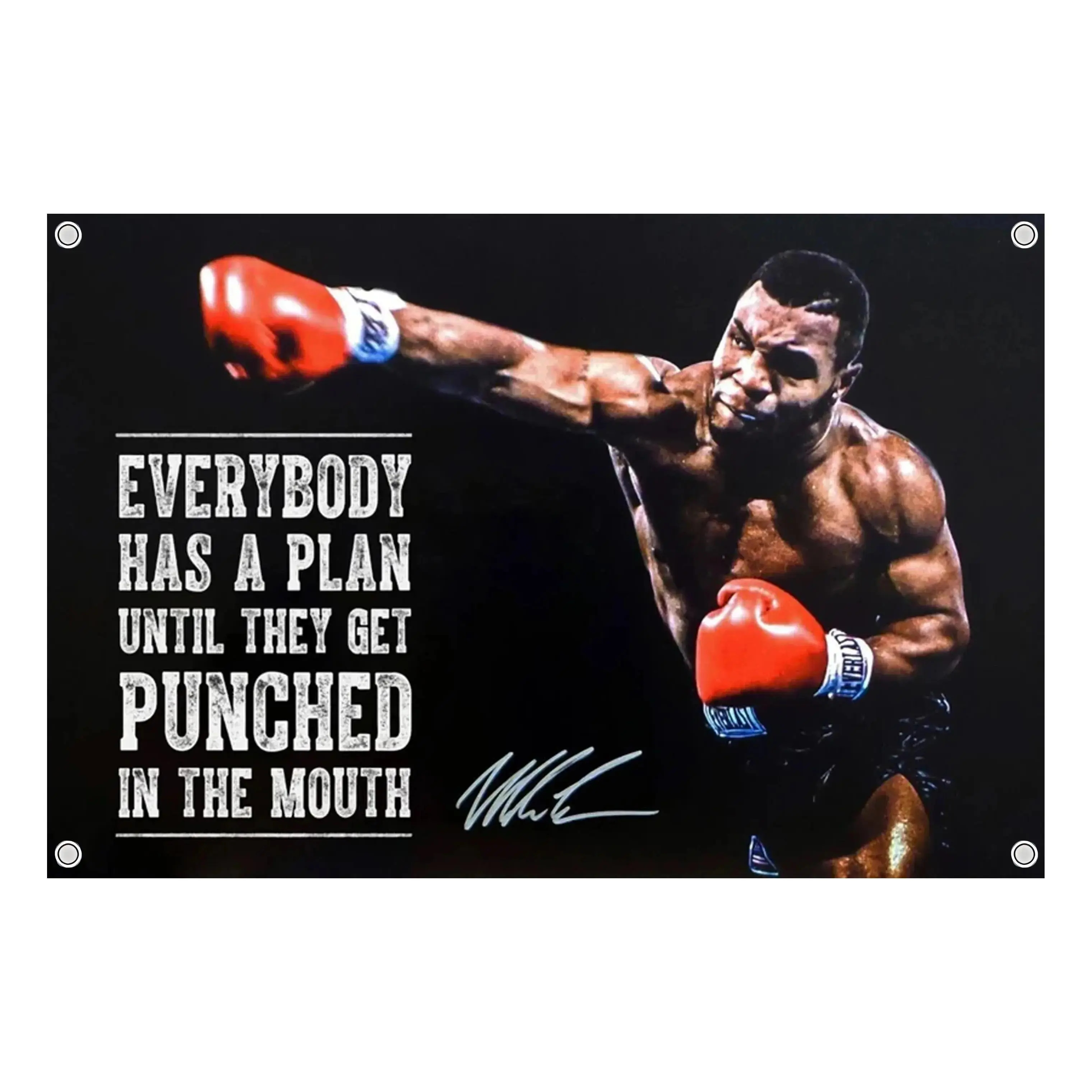 Mike Tyson Everyone Has Plan Quote Boxing Tapestry, Retro Boxer Wall Banner, Fight Night Combat Sports Decor, Boxing Fan Gift for Men Women, Polyester Wall Hanging Room Decor