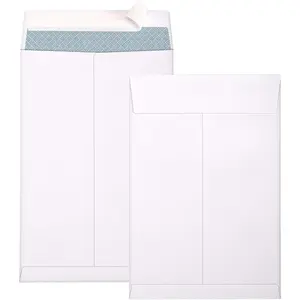 6x9 Self Seal Security Catalog Envelopes 250 Pack, Small White Envelopes for Mailing, Organizing, Storage, Home Office