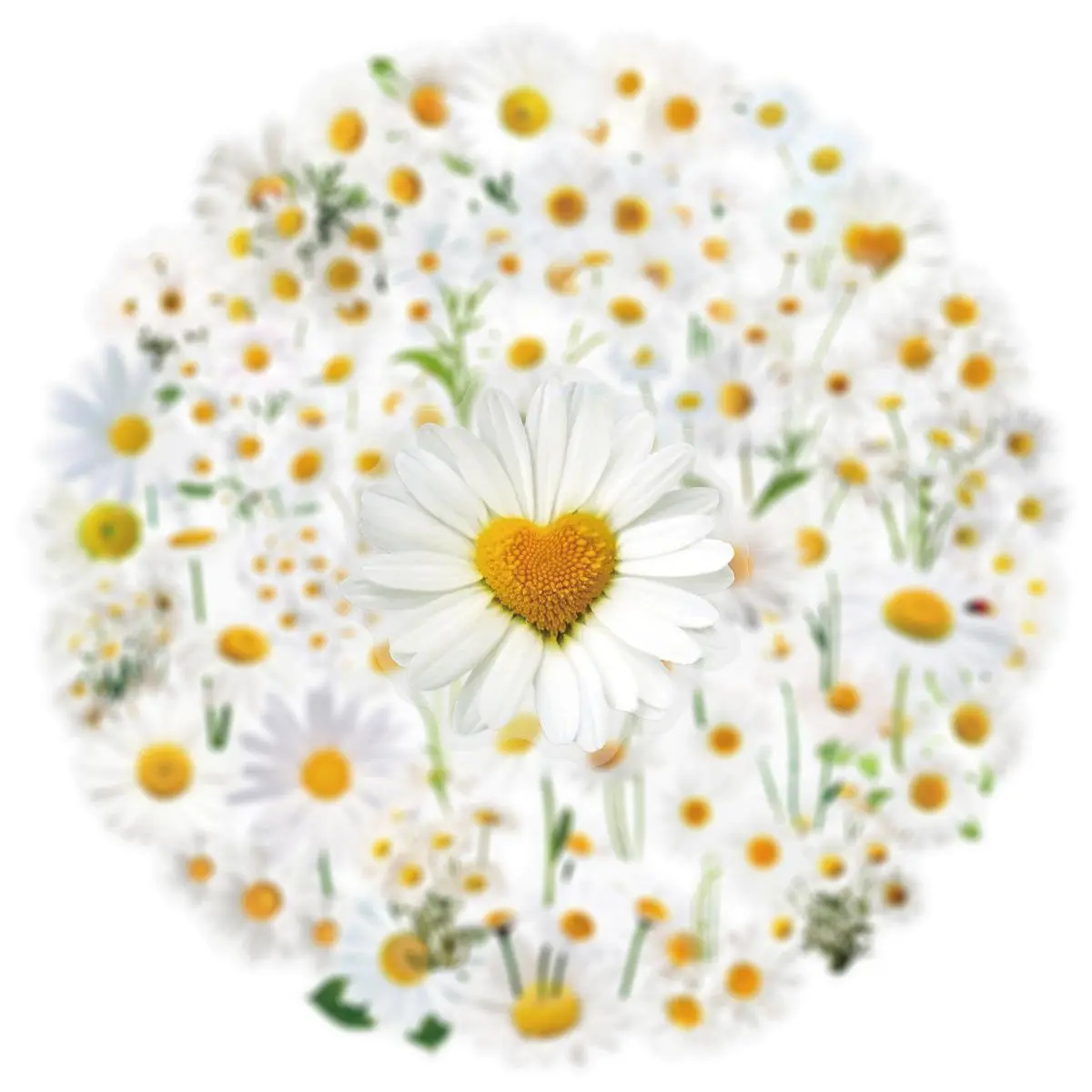 50Pcs Cute Transparent Daisy Graffiti Stickers Creative DIY Decorative Guitar Notebook Phone Case Waterproof PET Floral