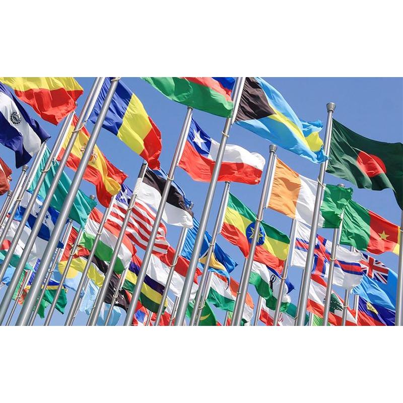 3x5 Ft Student Athlete Flag - Vivid Color and Fade Proof - Canvas Header and Double Stitched - Novelty College Funny Dorm with Brass Grommets Banners 3x5 Ft Student Athlete Flag - Vivid Color and Fade Proof - Canvas Header and Double Stitched - Novelty College Funny Dorm with Brass Grommets Banners