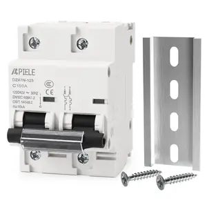 AC Miniature Circuit Breaker 120/240V 100Amp 2Pole DIN Rail Mount Thermal Magnetic Trip for AC Solar Disconnect Switch