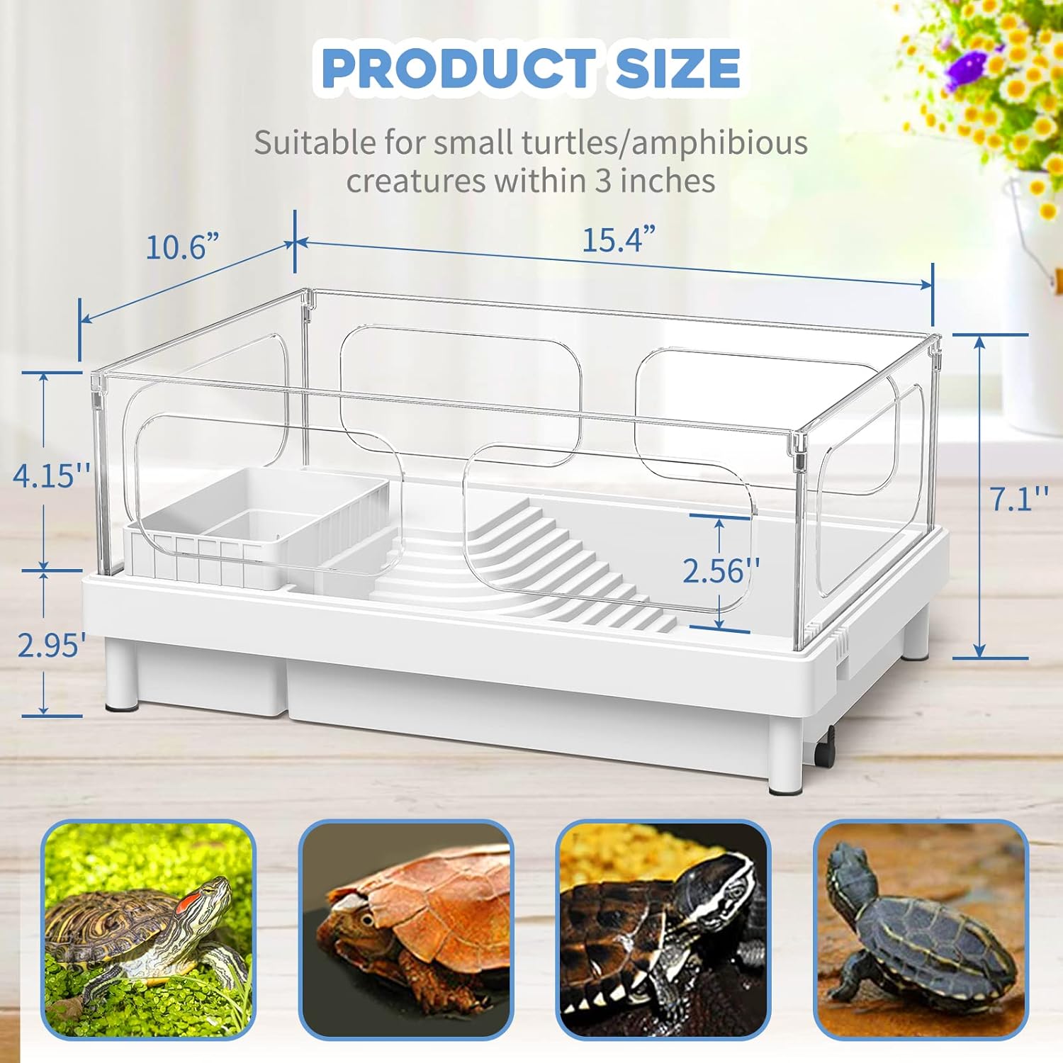 Small Turtle Tank with Filter, Turtle Aquarium, Turtle Terrarium with Basking Platform, Bottom Drainage, Multi-Function Areas for Turtles, Crayfish, Small Reptiles.(Tank+Filter) Small Turtle Tank with Filter, Turtle Aquarium, Turtle Terrarium with Basking Platform, Bottom Drainage, Multi-Function Areas for Turtles, Crayfish, Small Reptiles.(Tank+Filter)