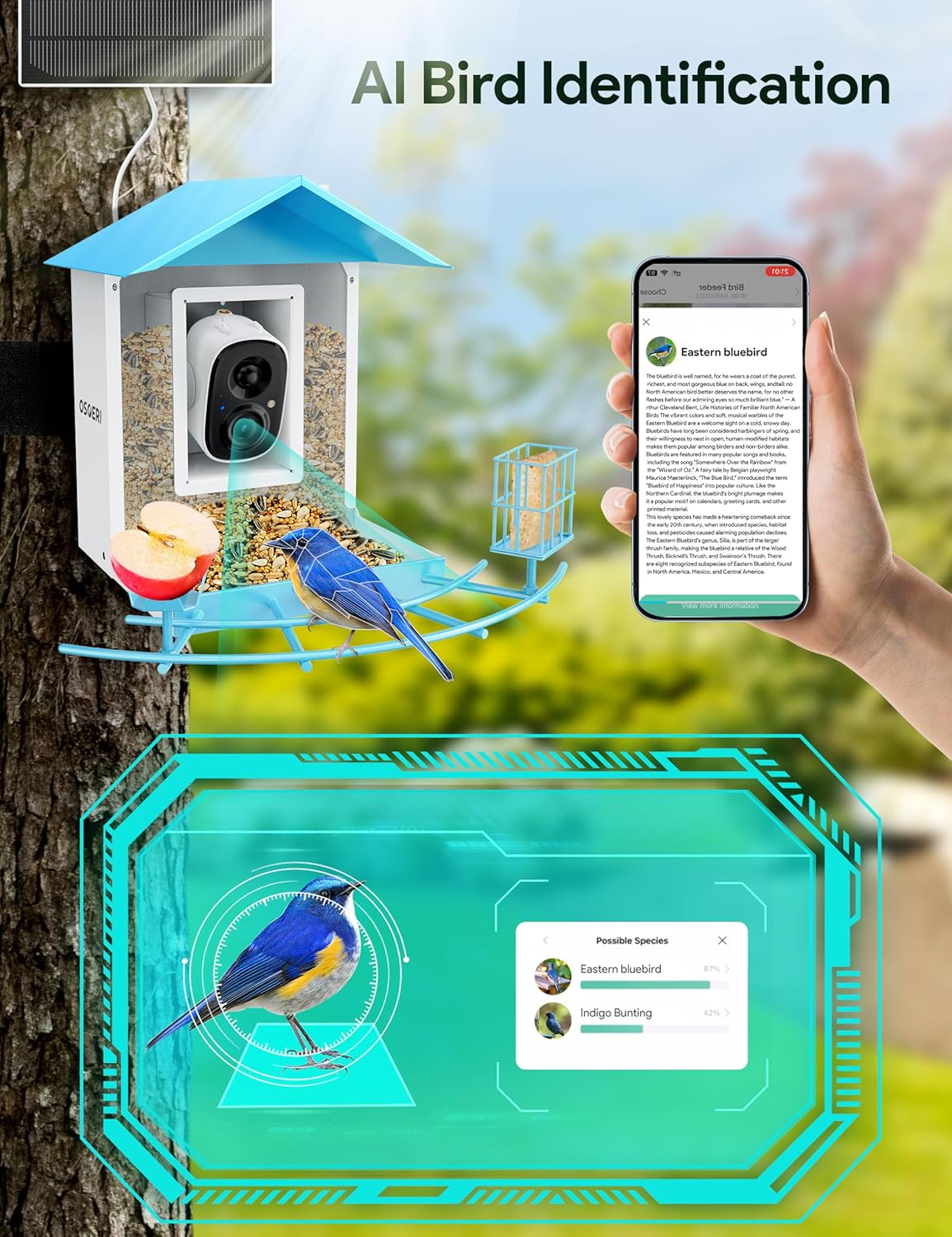 Bird Feeder with Camera, Smart Bird Feeder Camera with AI Identify, Metal Bird Feeder with Suet Cage & Fruit Fork, Auto Capture Bird Videos & Motion Detection, Ideal Gift for Bird Lovers