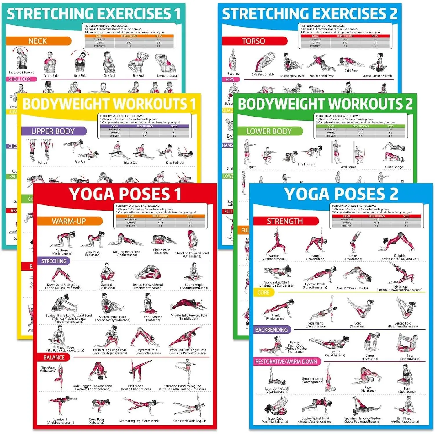 6PCS Workout Posters for Home Gym-Yoga Poses, Stretching and Bodyweight Exercise Charts Yoga Positions Poster Full Body Laminated Fitness Training Guide for Beginners Garage Wall Decor