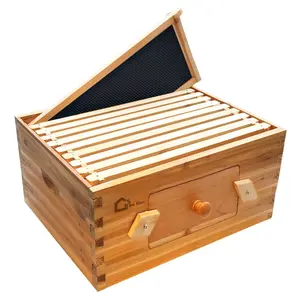 Traditional Cedar Deep Brood Box with Window, Solid Wood Beehive Body, 19.8 x 9.6 x 9.6 Inches, Unassembled Foundation Kit
